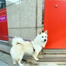 만땅농장 이미지