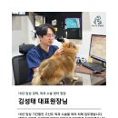 강남다온동물병원 이미지