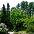 청정수풀 | 경기도 포천 가볼만한곳 국립수목원 주말 나들이 추천