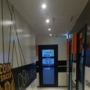 코인싱어 이미지