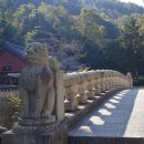 마농 민박 이미지