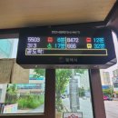 5503 | 코수술 실밥제거날 그리고 더셀스카후기 5503버스타고가기