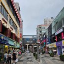 노원문화의거리 이미지