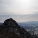 봉황봉 Daum카페