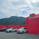 프라이빗핑크트리 이미지