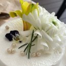 보뜨(BOTTE) 이미지