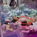 달사냥인형뽑기 | 서울 인형뽑기 롱다리키티 블랙원피스 호피원피스 헬로키티 우사하나 미피 추석맞이 사냥 후기