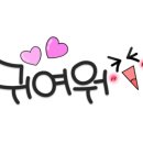 햄스터 라운지 이미지