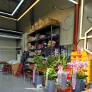 엠지에스 이미지