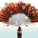 강남미용재료 이미지