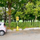 용답꽃공원 이미지