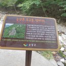 깃대봉 전망대 이미지