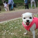 달달이네