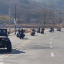 피닉스클럽 Daum카페