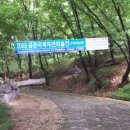 국제전상 이미지