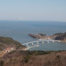 해화무 이미지