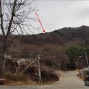 주식회사 옐로에그 네이버블로그