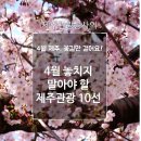꽃길만