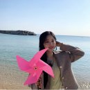 미나트립 이미지
