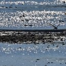 계곡이야기 이미지