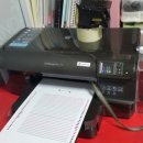 권일 태권도 이미지