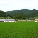 사곡리남근석 이미지