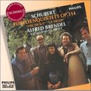 송어의꿈 이미지