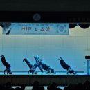 남양주백봉초등학교 이미지