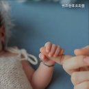 쉬즈산후조리원 네이버블로그