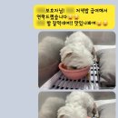 원러브동물의료센터 이미지