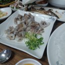 불광수산 티스토리