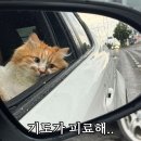 아진목욕탕 | 11月 민서의 기록