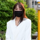 더새봄