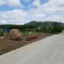 용대농장 이미지