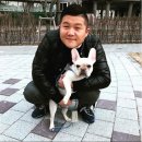 대구 펫 택시 이미지
