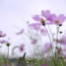 너를 만나다 이미지