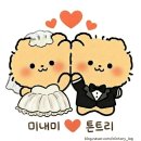 지금예뻐지는시간뷰티힐 | 연산동에스테틱 '뷰티힐에스테틱' 마이크로웨이브 등관리 후기 / 승모근관리