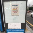 노일초교 이미지