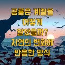 황금산암모나이트[지금-6] | &#34;공룡은 계절을 어떻게 알았을까?&#34; 자연의 변화에 반응한 방식