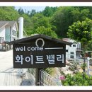 화이트밸리 이미지