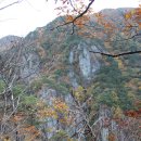 신선주한잔