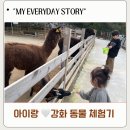 고개농장 | 강화 프렌쥬랜드 아이랑 가볼만한 곳 동물교감 체험 농장 솔직후기