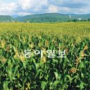 이창환농장 이미지