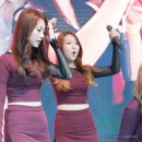 미스터비어 이미지