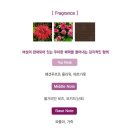 씨에이치유통