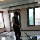 을지연마 이미지