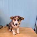 검정마을회관 이미지