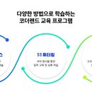 코더랜드