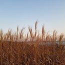 드림펜션 이미지