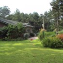 나리와꽃창포 이미지